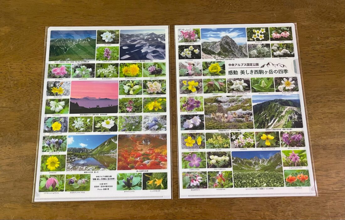 待望のお花グッズが出ました！